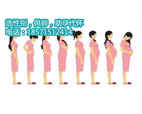 北京助孕价格是如何维护和保护您的私人信息的